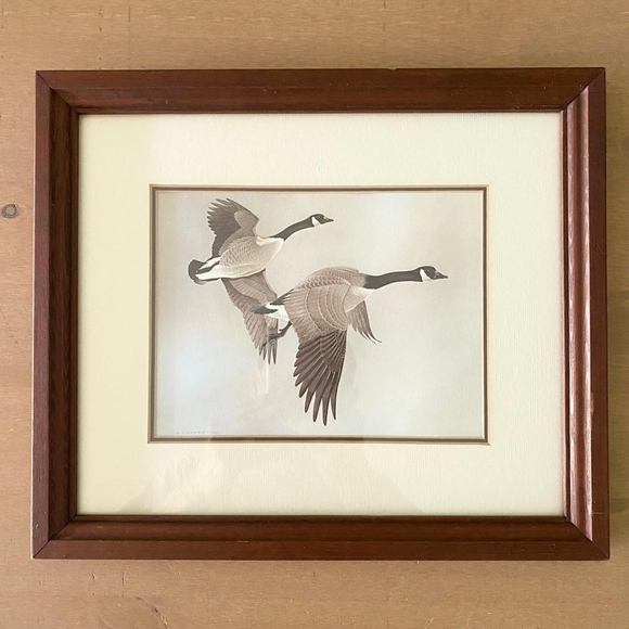 G. Loates Canada Geese Vintage Art Print - Matted Framed Behind Glass - Picture 1 of 8